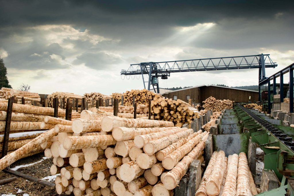 Sawmill (lumber mill) Picture