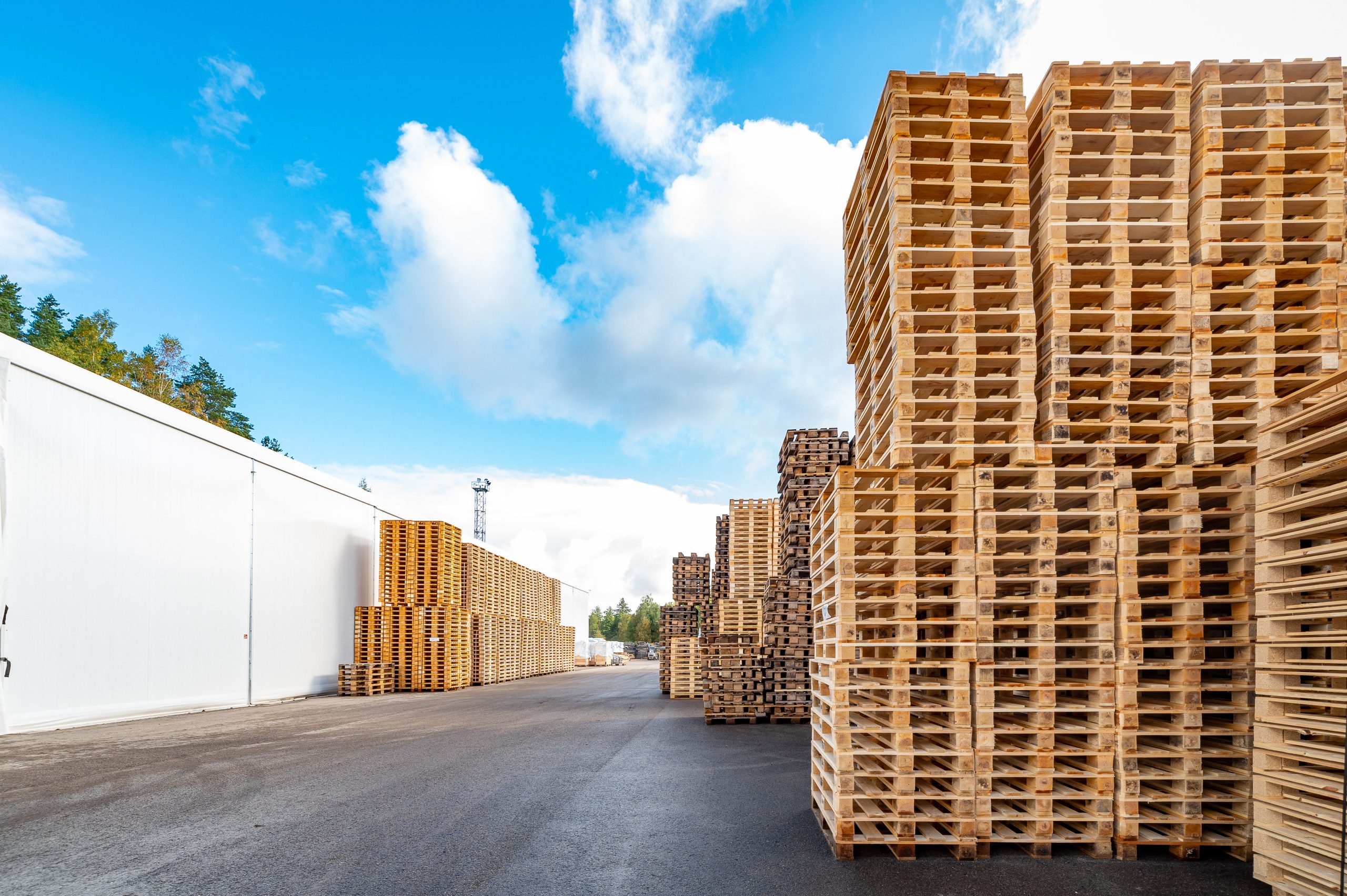 Kronus noliktava Picture