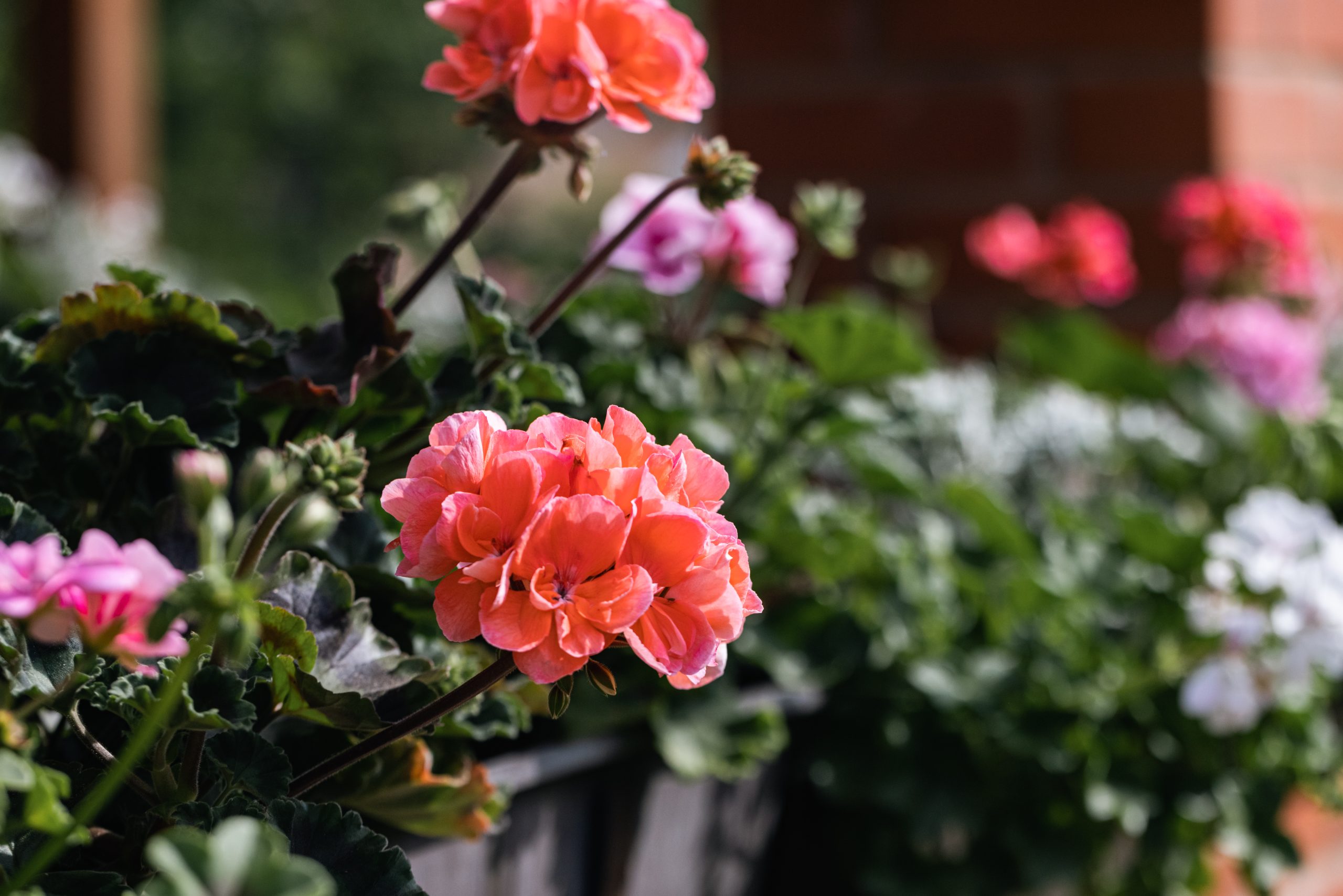 banner-slide-background